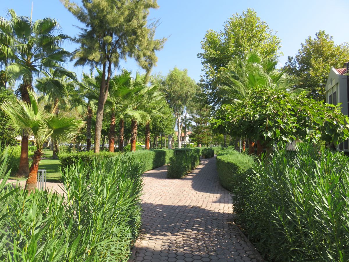 imagini hotel CLUB TUANA